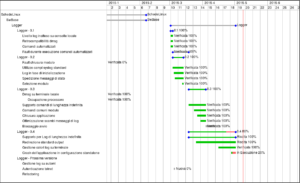 Diagramma di Gantt